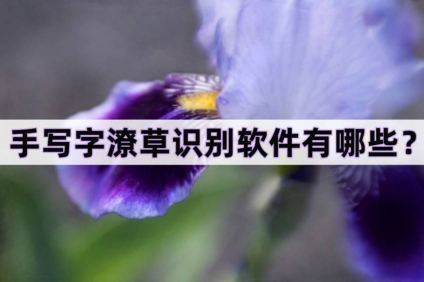 鼠标手写软件苹果版
:手写字潦草识别软件有哪些？推荐两款