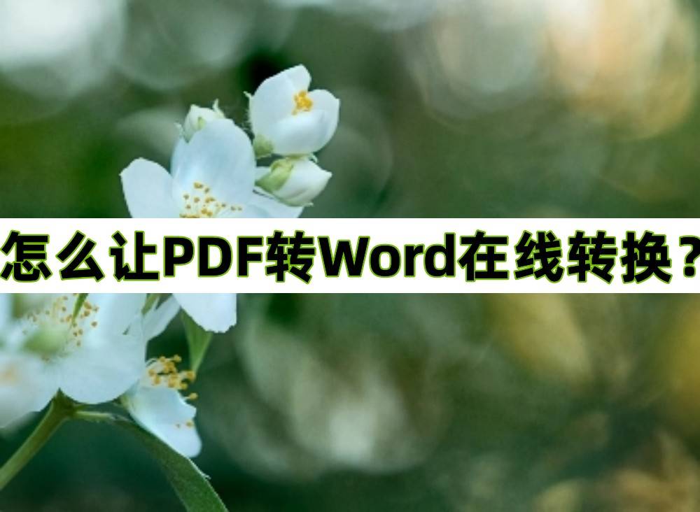 迅捷文字识别苹果版:怎么让PDF转Word在线转换？一个软件帮你解决问题