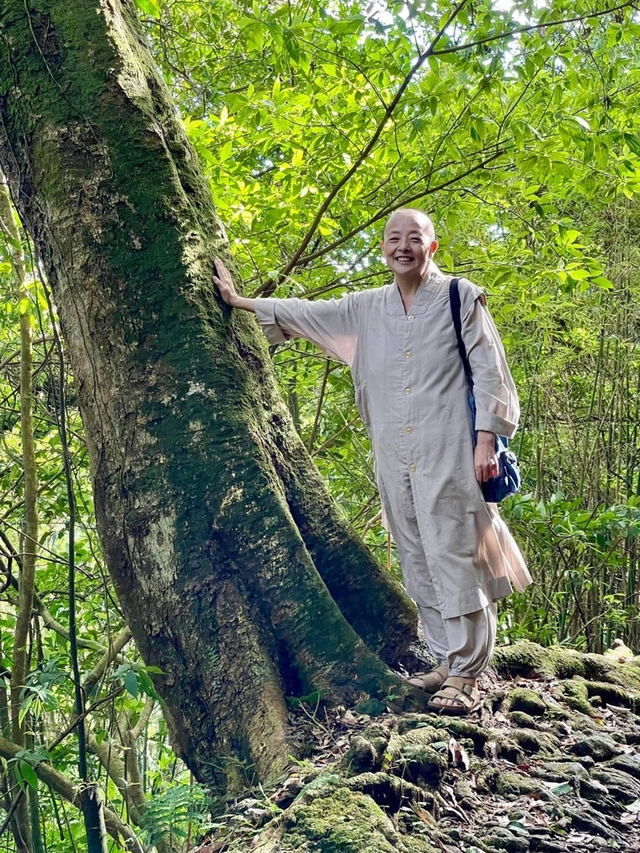 台湾新闻手机版台湾中天新闻手机直播