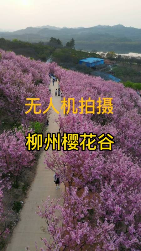 花不完苹果版小苹果cf活动助手苹果版