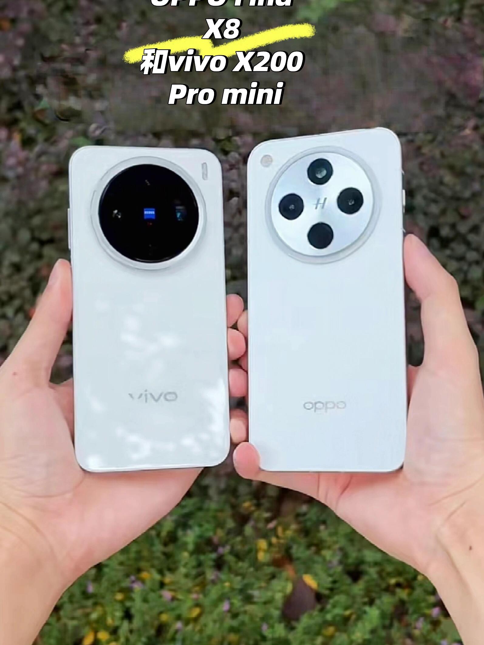 苹果版vivo(苹果版vivo互传)-第1张图片-QuickQ官网