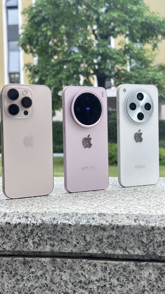 苹果版vivo(苹果版vivo互传)-第3张图片-QuickQ官网