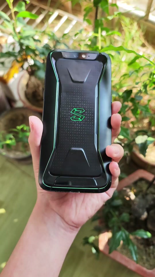 下载黑鲨手机官方版安卓(下载黑鲨手机官方版安卓版)-第5张图片-QuickQ官网 下载黑鲨手机官方版安卓(下载黑鲨手机官方版安卓版)-第5张图片-QuickQ官网