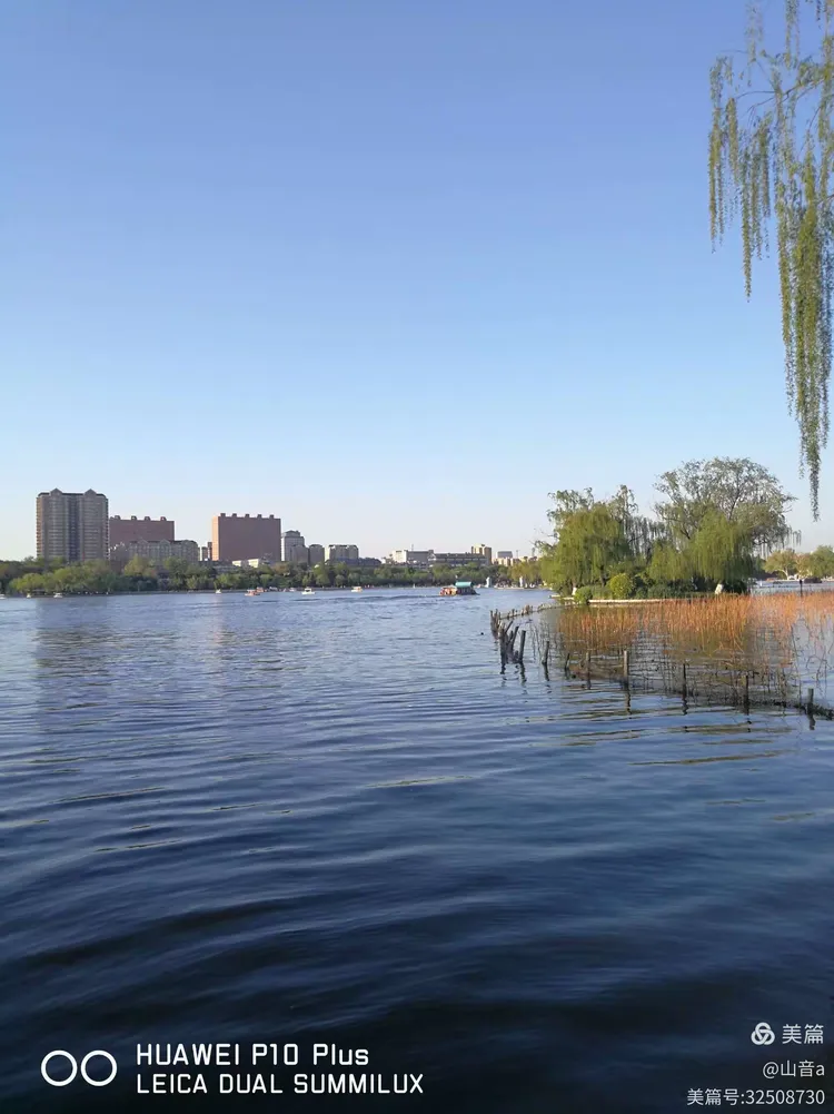 平度信息港手机版(平度信息港手机版官网)-第2张图片-QuickQ官网