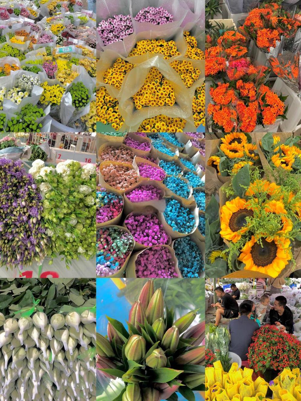 万能白菜价手机版的简单介绍-第1张图片-QuickQ官网