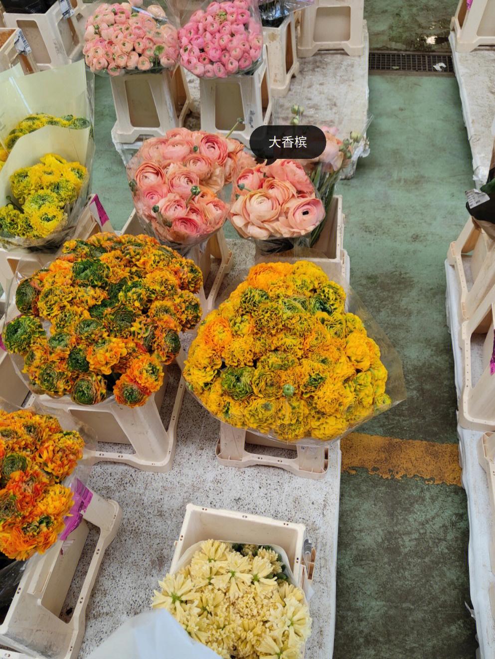 万能白菜价手机版的简单介绍-第4张图片-QuickQ官网