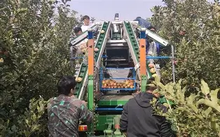 shadowroket苹果版(shadowroket ios下载)-第4张图片-QuickQ官网