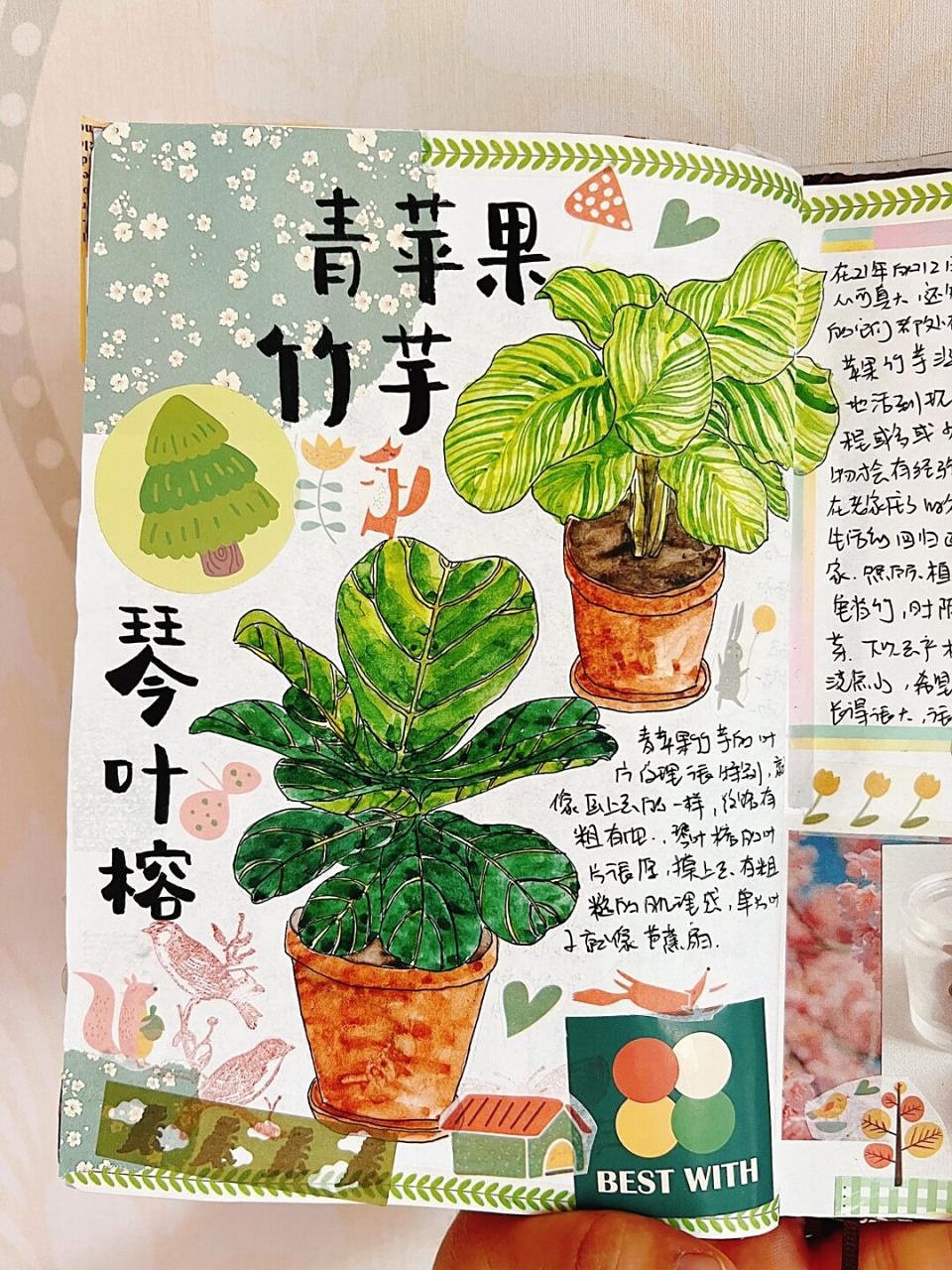 包含青苹果日记手机版下载的词条-第4张图片-QuickQ官网