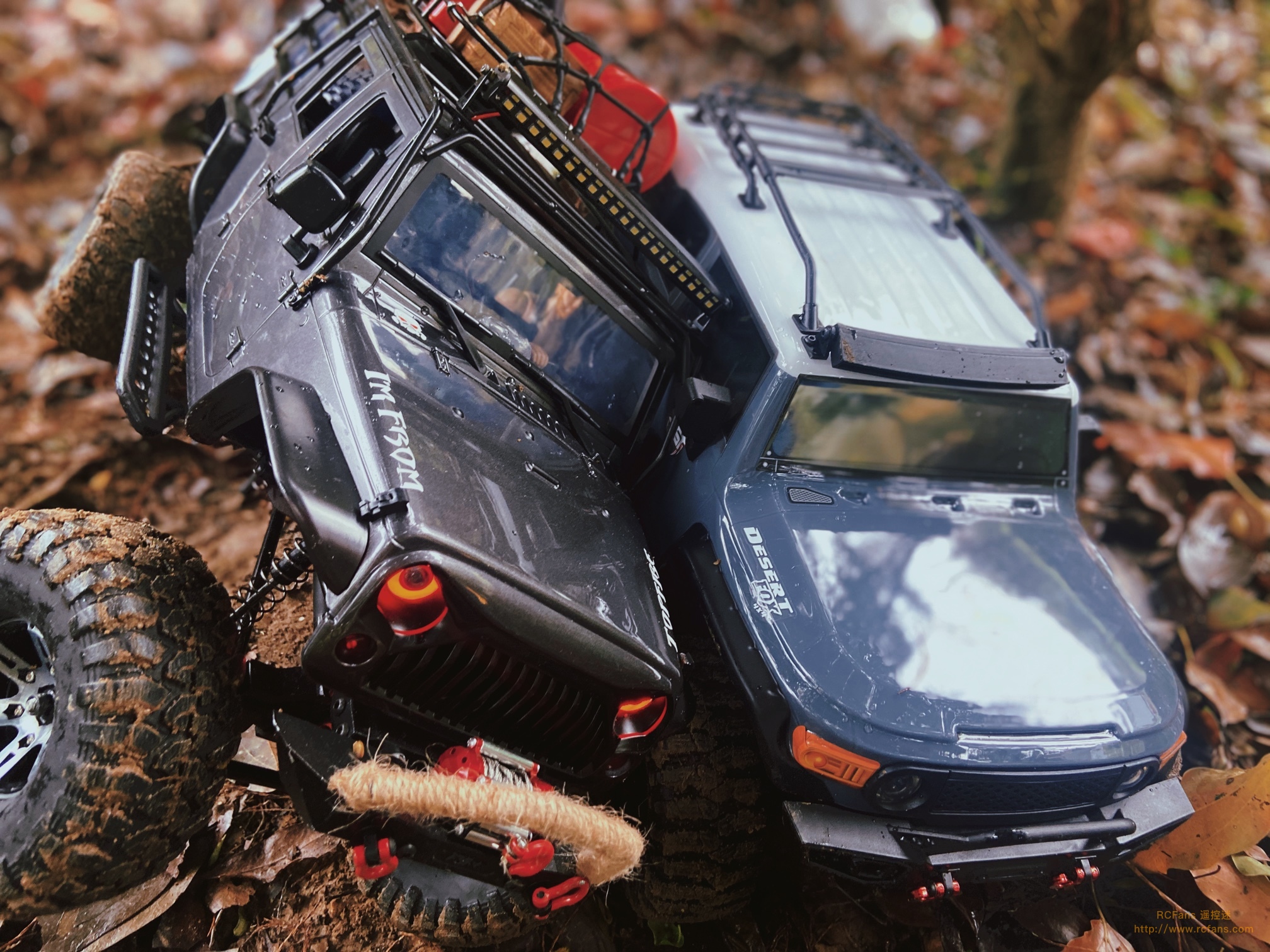 fj版苹果香(苹果fj开头的是什么机)-第4张图片-QuickQ官网 fj版苹果香(苹果fj开头的是什么机)-第4张图片-QuickQ官网