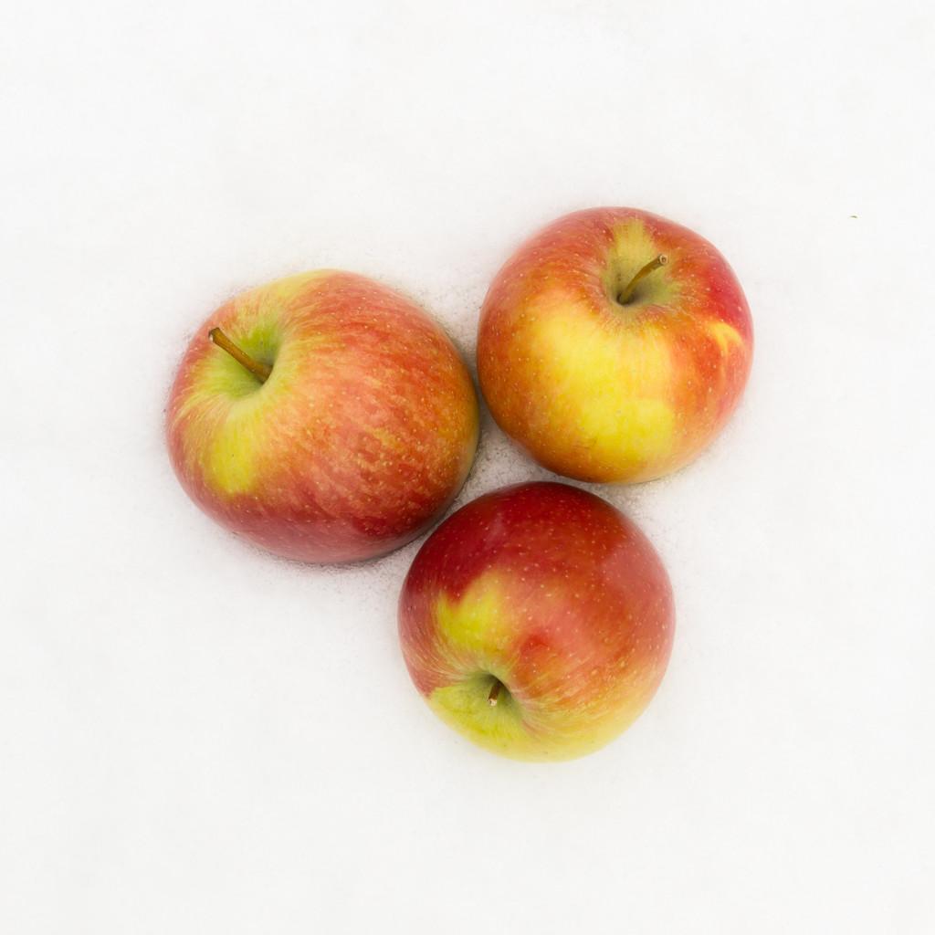 苹果荷兰版(荷兰苹果手机)-第5张图片-QuickQ官网